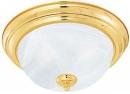 Picture of recalled SL8691-1 light fixture