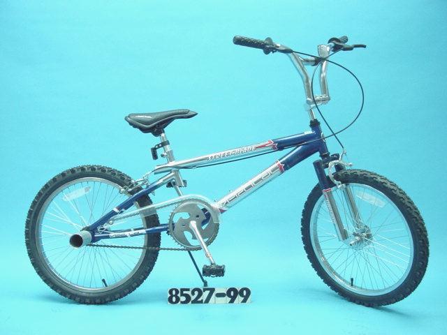 Picture of Recalled Bike
