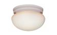 Picture of recalled SL325-8 light fixture