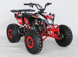 ATV MADIX 125 para jóvenes, de EGL retirado del mercado