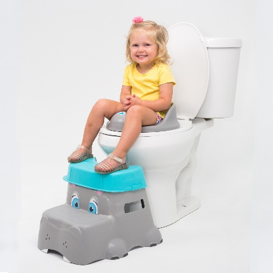 Potty Seat And Step Stool Online