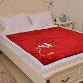 Red Electric Heated Micro Plush Flannel Sherpa  Throw Blanket (50x60 in)