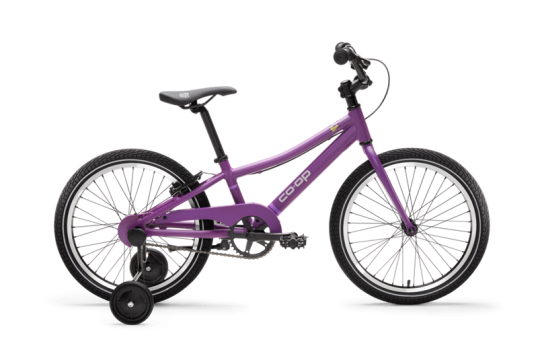 召回带辅助轮的 Co-op Cycles REV 20 儿童自行车（颜色：梅红色）