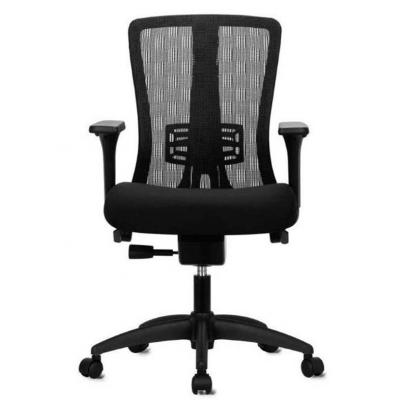 Raynor eurotech online chair