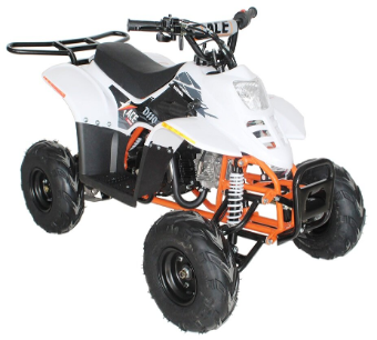 Recalled EGL Motor ACE D110 Youth ATV