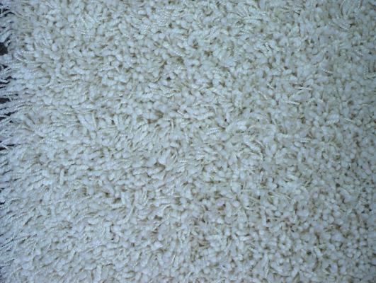 Recalled Tuftex Wall-to-Wall Carpet