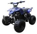 Maxtrade Coolster ATV-3050-B Youth ATV