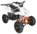 Recalled EGL Motor ACE D110 Youth ATV