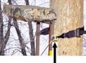 Recalled hunting tree stand showing location of mounting bracket