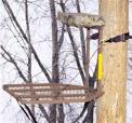 Recalled hunting tree stand